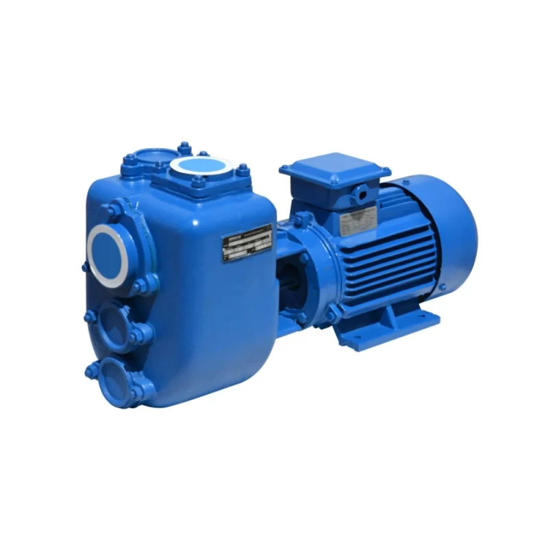 DJZ Self Priming Pump Manufacturer | Industrial Transfer - DEFU